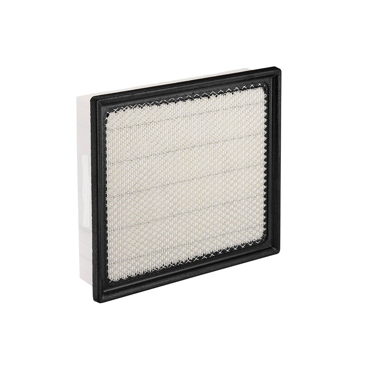 Air Filter A2011